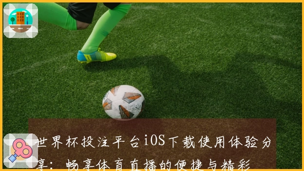 世界杯投注平台iOS下载使用体验分享：畅享体育直播的便捷与精彩