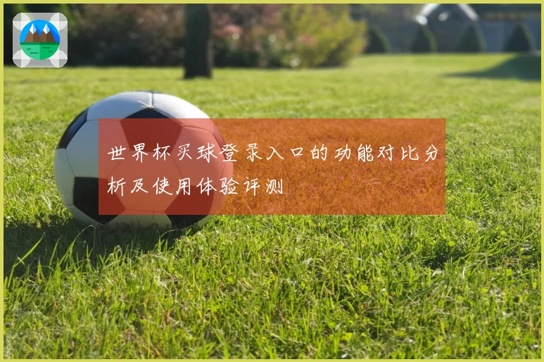 世界杯买球登录入口的功能对比分析及使用体验评测