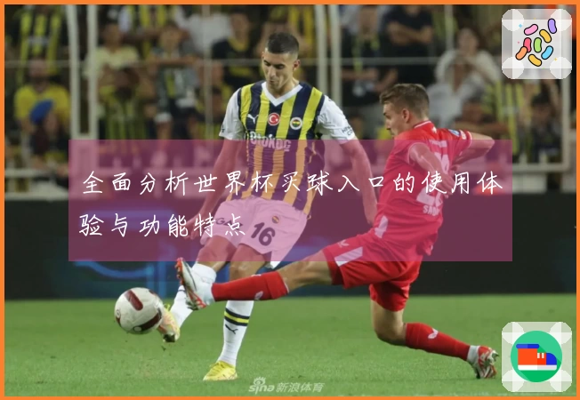 全面分析世界杯买球入口的使用体验与功能特点