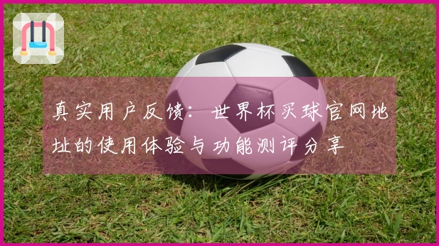 真实用户反馈：世界杯买球官网地址的使用体验与功能测评分享