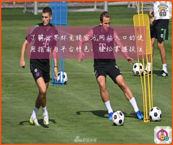 了解世界杯竞猜官方网站入口的使用指南与平台特色，轻松掌握投注乐趣