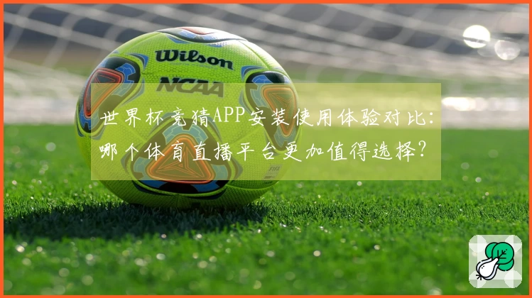 世界杯竞猜APP安装使用体验对比：哪个体育直播平台更加值得选择？