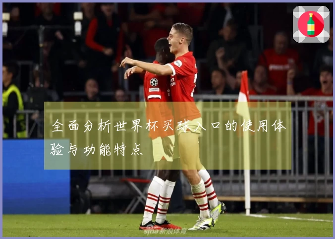 全面分析世界杯买球入口的使用体验与功能特点